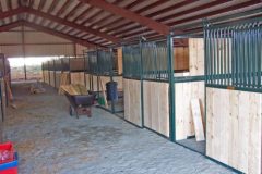 100_0603-e1641322763706