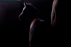 ERCDSC_0030_00030_Postcard_HIGH-700px