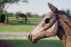 First-cuts-broll_Moment12-800px