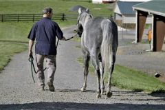 First-cuts-broll_Moment22-800px