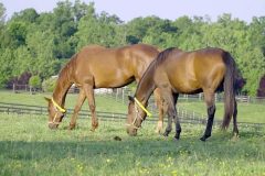 First-cuts-broll_Moment6-800px