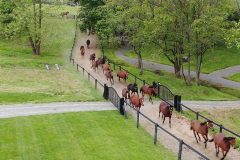 Luis-C-Alvarez-DJI_0176_Moment-800px